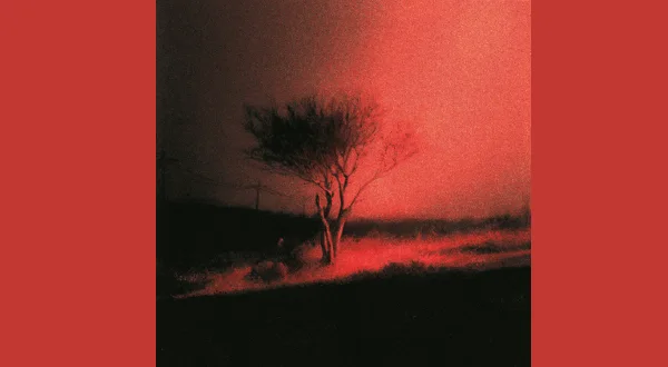 Horses to Water Lyrics – Joji | Piss In The Wind