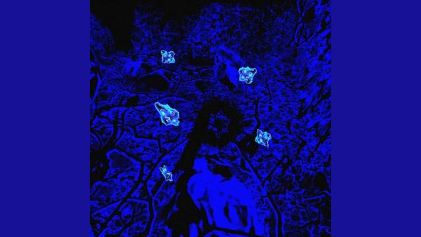 FOOL Lyrics - Odetari | PHAZON VARIA