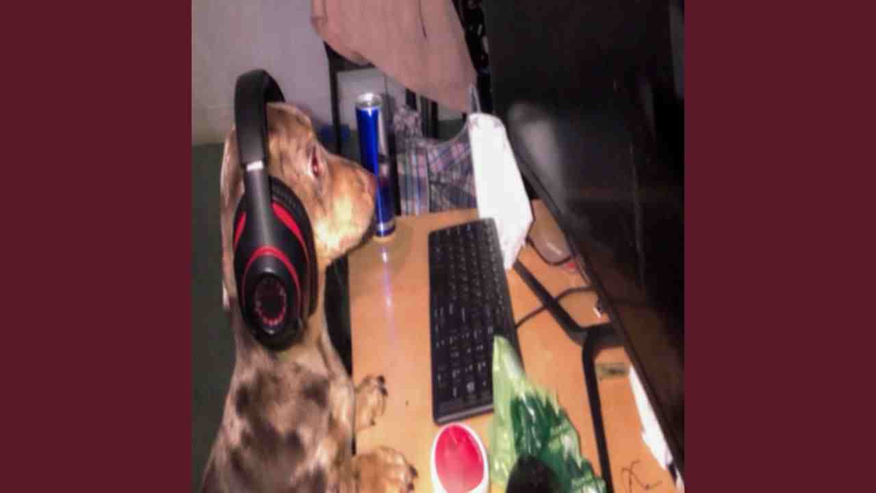 Idk Idk Lyrics - Jim Legxacy | JL4