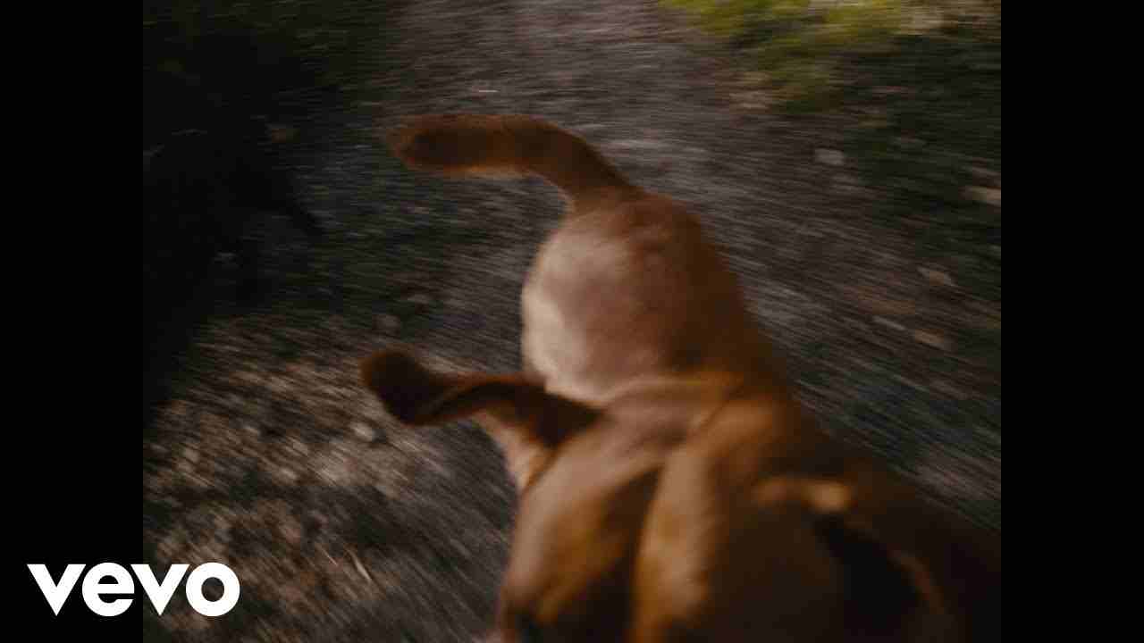 Los Angeles Lyrics English Translation - BLANCO | Ma'