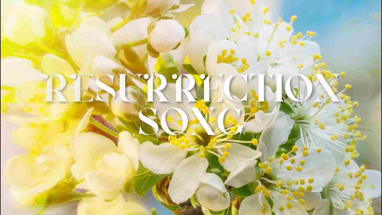 Ressurection Song Lyrics - U2 | Easter Lily